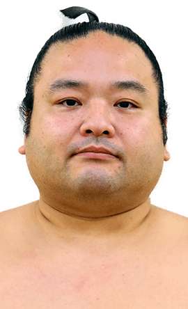 Portrait of the sumo wrestler