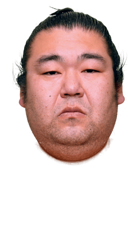 Portrait of the sumo wrestler