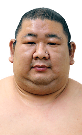 Portrait of the sumo wrestler