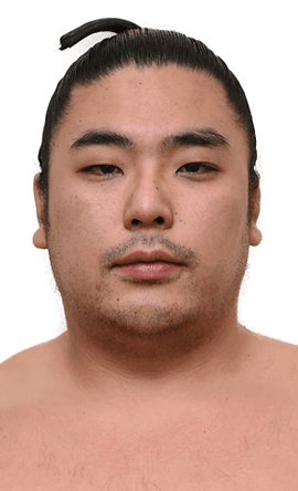 Portrait of the sumo wrestler