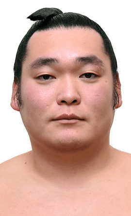 Portrait of the sumo wrestler