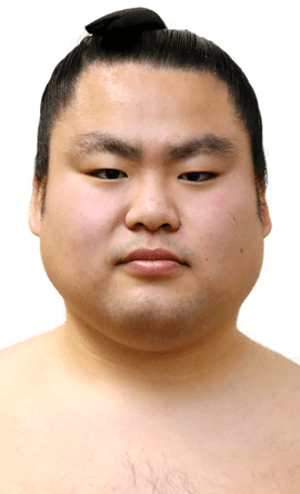 Portrait of the sumo wrestler