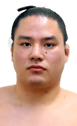 Portrait of the sumo wrestler