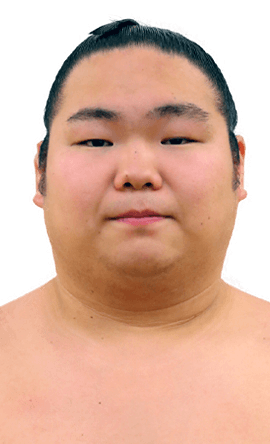 Portrait of the sumo wrestler