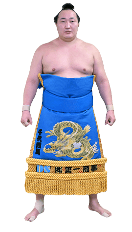 Portrait of the sumo wrestler