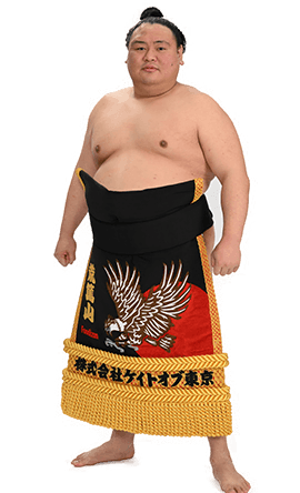 Portrait of the sumo wrestler