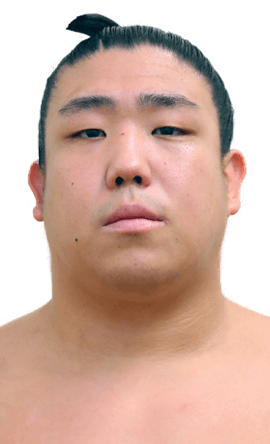 Portrait of the sumo wrestler