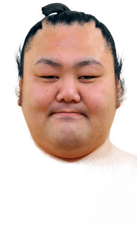 Portrait of the sumo wrestler