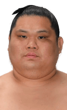 Portrait of the sumo wrestler