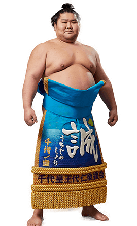 Portrait of the sumo wrestler