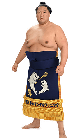 Portrait of the sumo wrestler