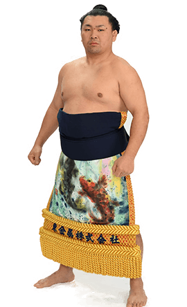 Portrait of the sumo wrestler