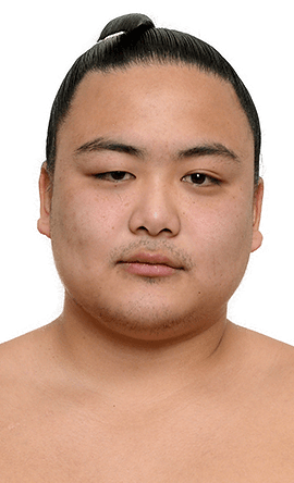 Portrait of the sumo wrestler