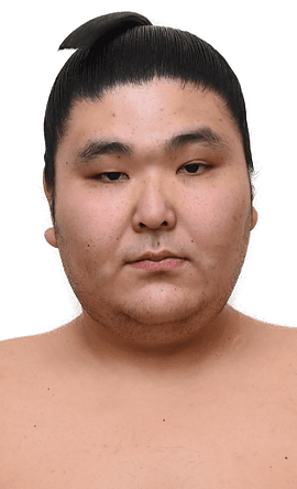 Portrait of the sumo wrestler