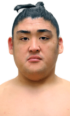 Portrait of the sumo wrestler