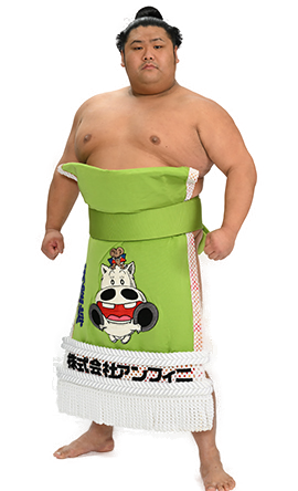 Portrait of the sumo wrestler