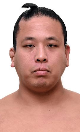 Portrait of the sumo wrestler