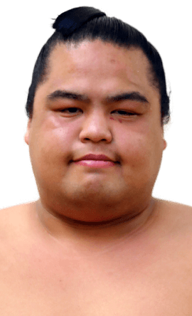 Portrait of the sumo wrestler