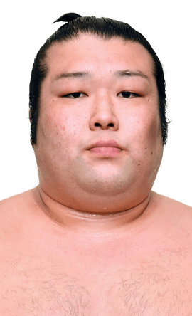 Portrait of the sumo wrestler