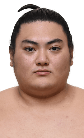 Portrait of the sumo wrestler