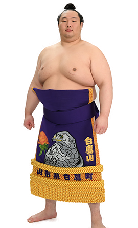 Portrait of the sumo wrestler