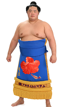 Portrait of the sumo wrestler