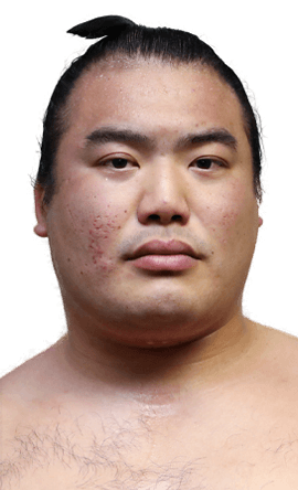 Portrait of the sumo wrestler