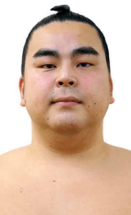 Portrait of the sumo wrestler