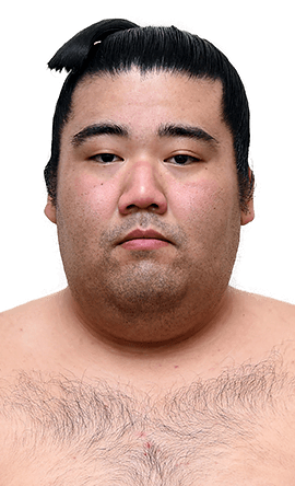 Portrait of the sumo wrestler