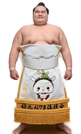 Portrait of the sumo wrestler