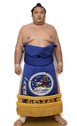 Portrait of the sumo wrestler