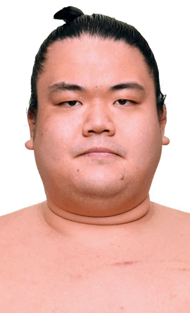 Portrait of the sumo wrestler