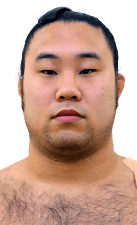 Portrait of the sumo wrestler