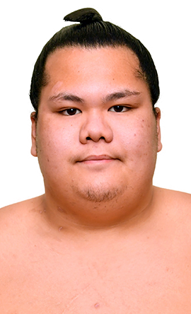 Portrait of the sumo wrestler