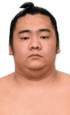 Portrait of the sumo wrestler