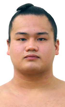 Portrait of the sumo wrestler