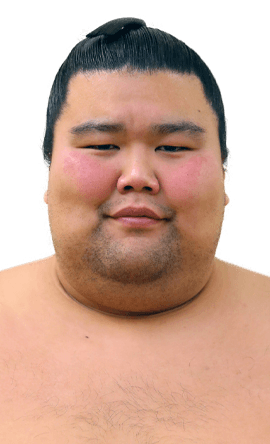 Portrait of the sumo wrestler