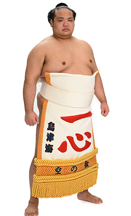 Portrait of the sumo wrestler