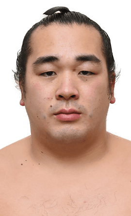 Portrait of the sumo wrestler