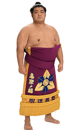 Portrait of the sumo wrestler