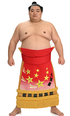 Portrait of the sumo wrestler