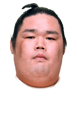 Portrait of the sumo wrestler