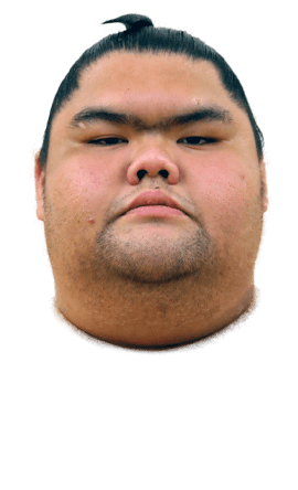 Portrait of the sumo wrestler