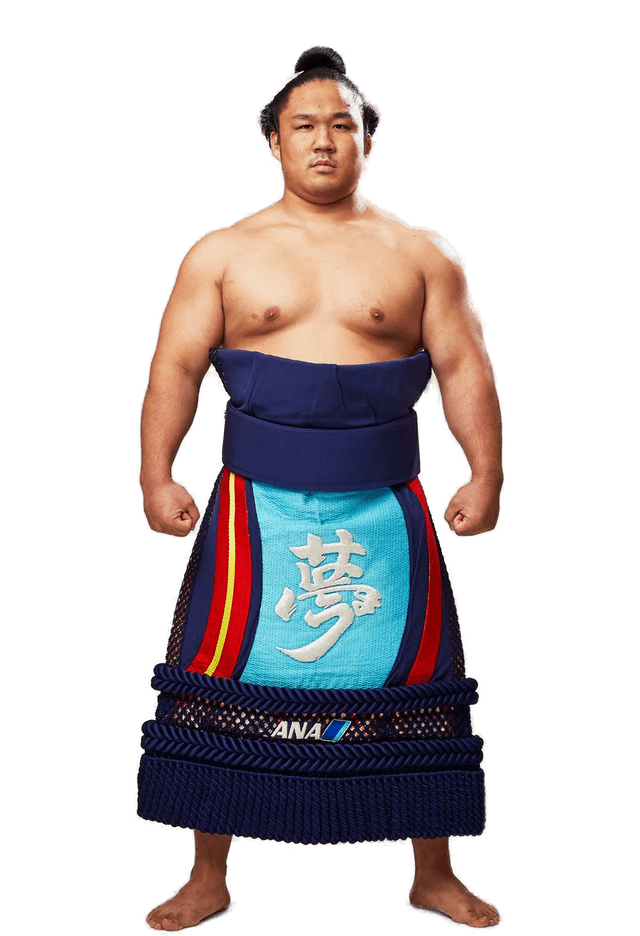 Portrait of the sumo wrestler