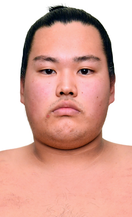 Portrait of the sumo wrestler