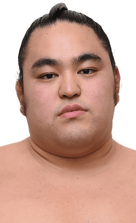 Portrait of the sumo wrestler