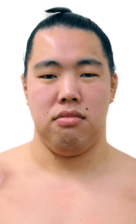 Portrait of the sumo wrestler