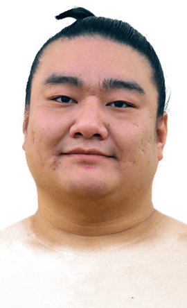 Portrait of the sumo wrestler