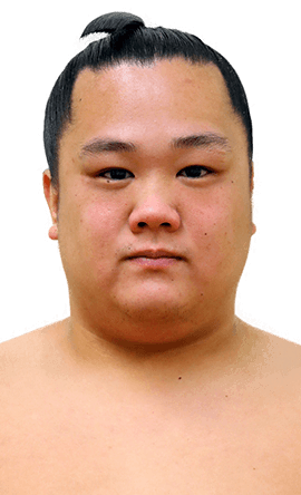 Portrait of the sumo wrestler