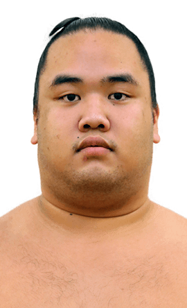 Portrait of the sumo wrestler